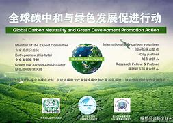 绿色赛场:F1最新碳中和行动 绿色赛场:F1最新碳中和行动