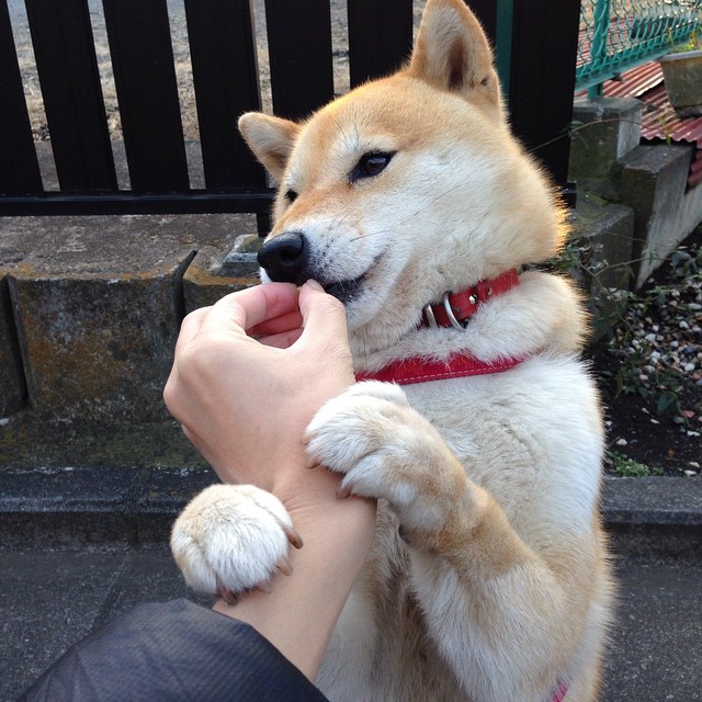 _未来体育产业峰会:科技创新引领行业变革_,未来体育赛事