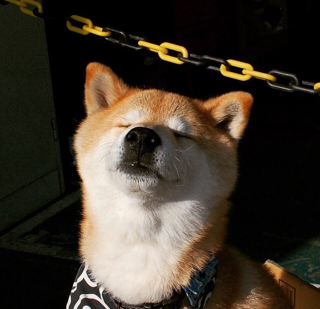 “法甲激战不断,豪门先锋崭露头角”,豪门风范