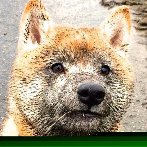 “法甲激战正酣,豪门对决扣人心弦”,法甲激烈