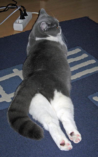 《Dota 2奇迹时刻，逆转绝杀震撼全场》，dota2 奇迹哥