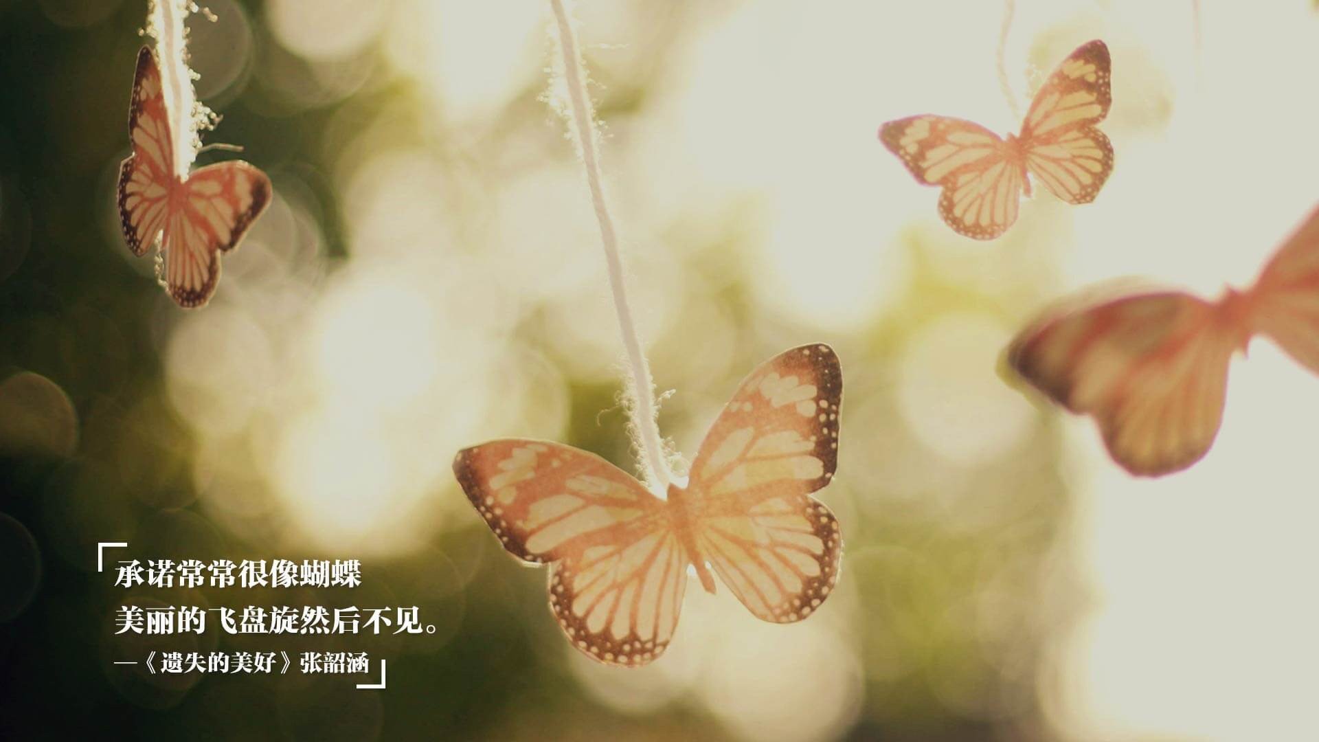 中国足球青训基地进行智能设备升级,助力高效训练,中国足球青训基地有哪些