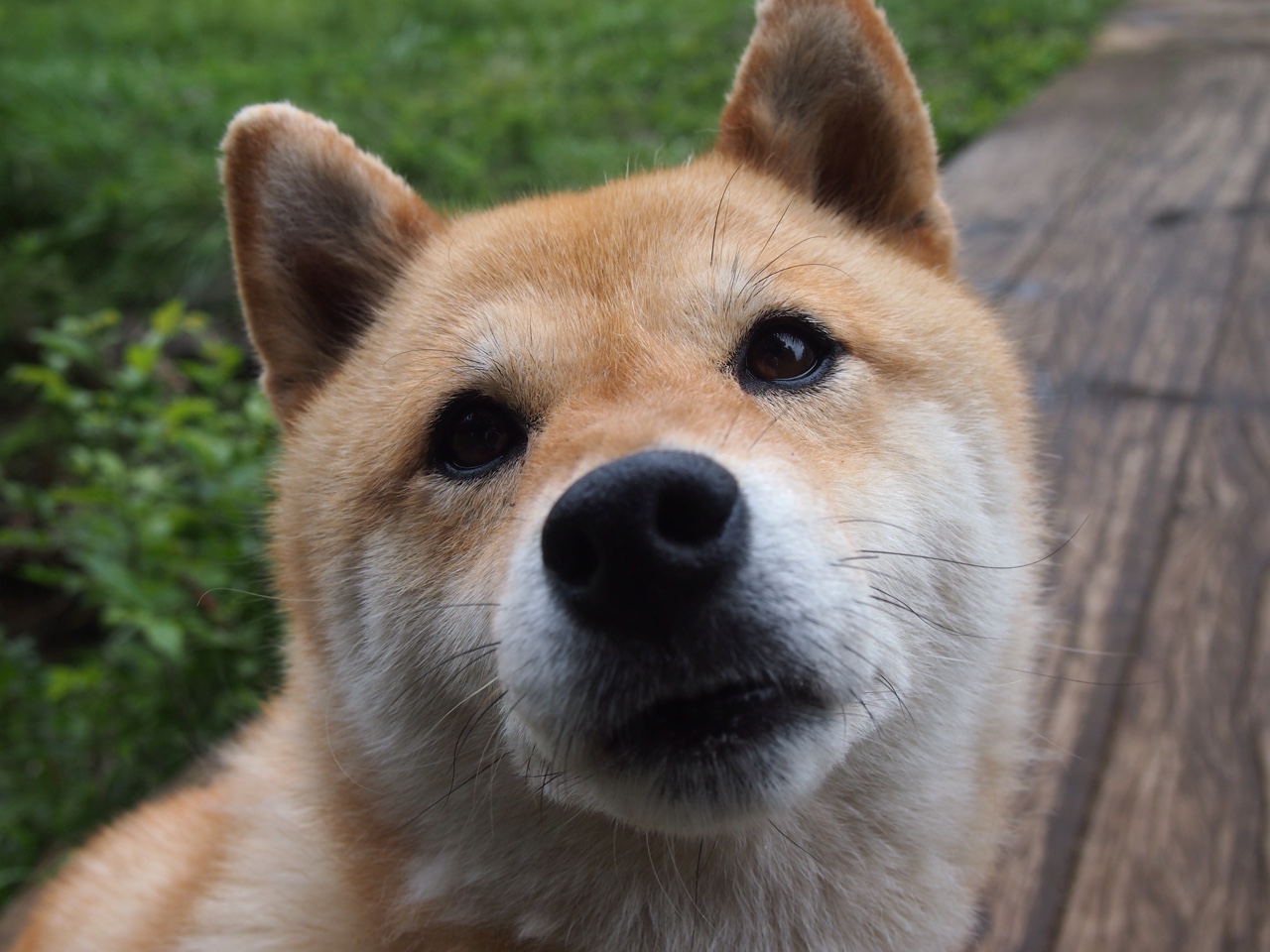 爱游戏-大型沙滩派对与运动狂欢，夏日运动新热点，沙滩派对是什么意思