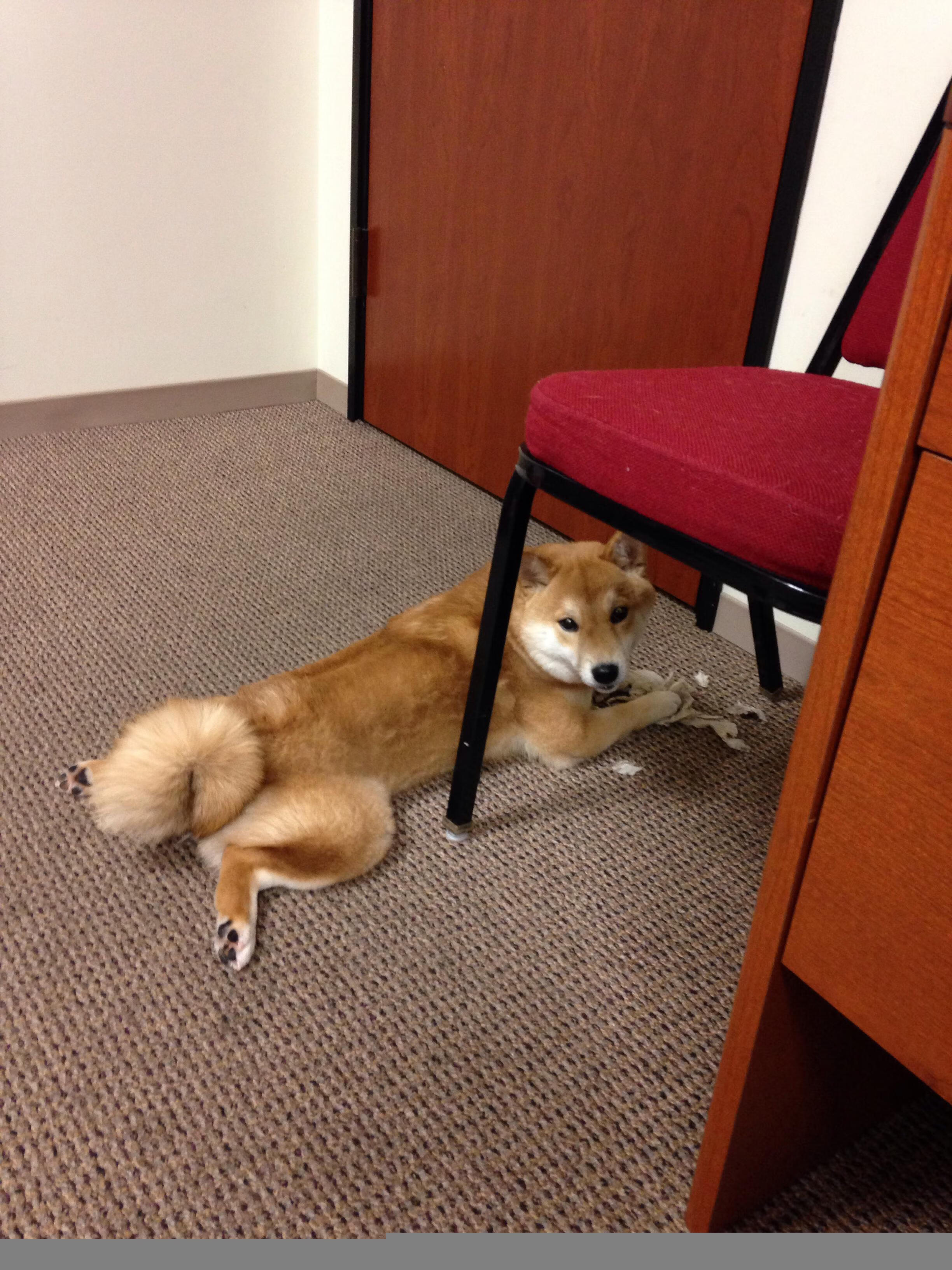 爱游戏娱乐-德甲比赛精彩瞬间不断，战术变化引爆全场，德甲集锦2020_2021