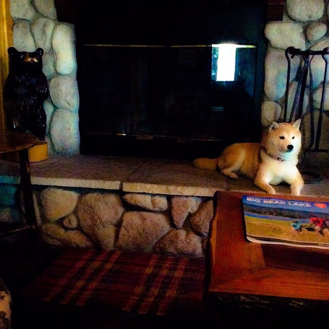 德甲比赛精彩瞬间不断,战术变化引爆全场,德甲集锦2020_2021