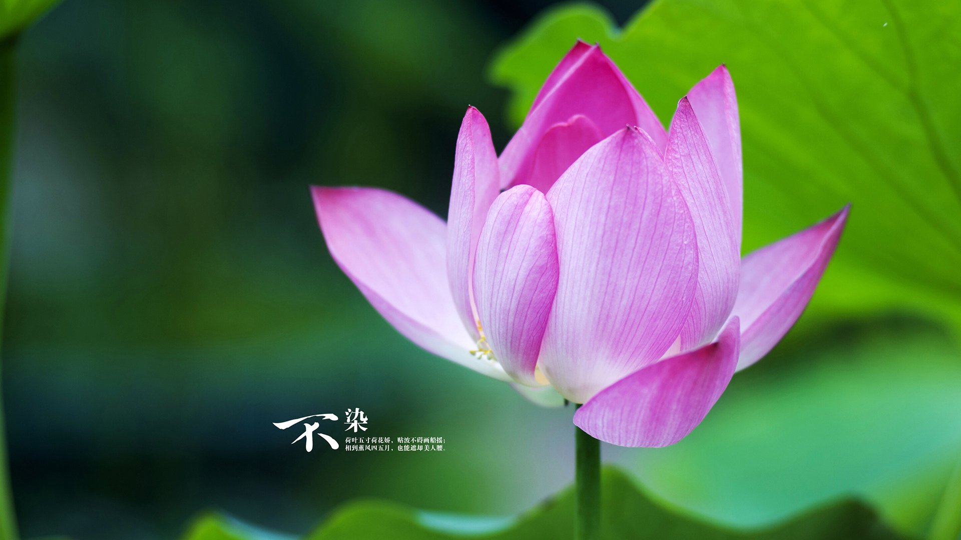 “青训教练员培训班全国范围推广，培养专业人才”，篮球青训教练培训