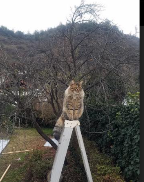 亚洲足球豪强齐聚一堂,精彩对决即将启幕,亚洲足球赛赛程