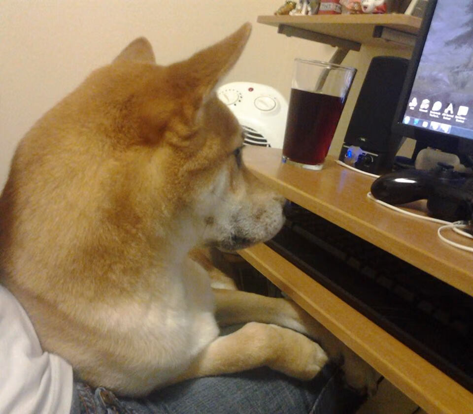 爱游戏下载-意大利赢得欧洲杯冠军，国内球迷欢欣鼓舞，意大利最近一次拿欧洲杯冠军