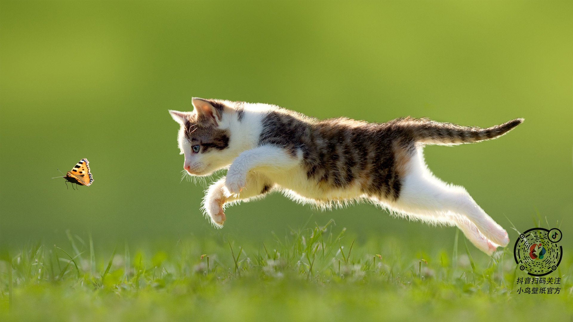 斯托克城主场对阵德比郡,焦点之战谁能笑到最后,斯托克城对哈德斯菲尔德的比分预测