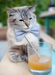 爱游戏app-沃特·范阿特获得男子计时赛铜牌，范德沃特门将