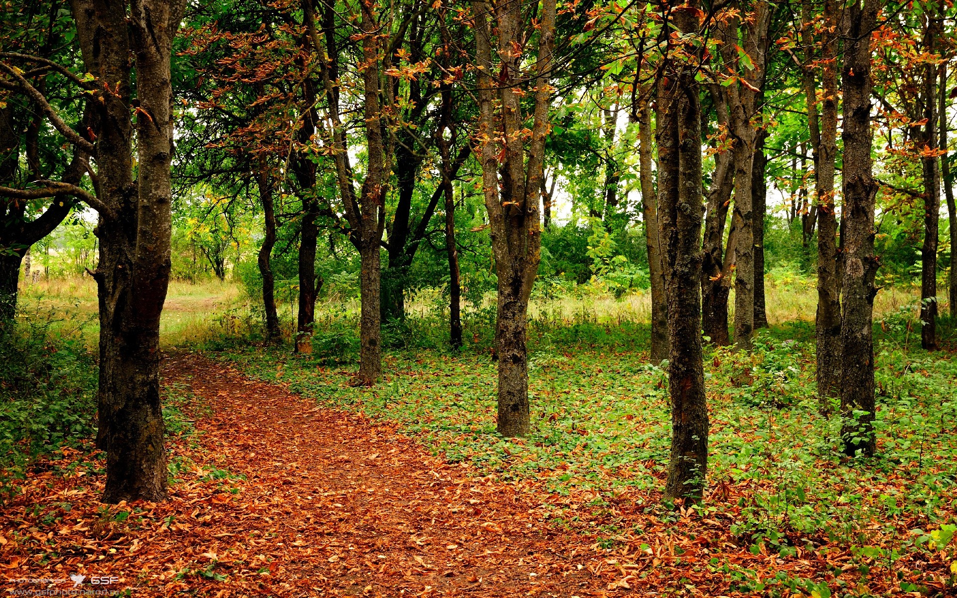 AYX官网-意甲：米兰双雄继续追赶领头球队，积分差距缩小到5分，米兰意甲夺冠阵容