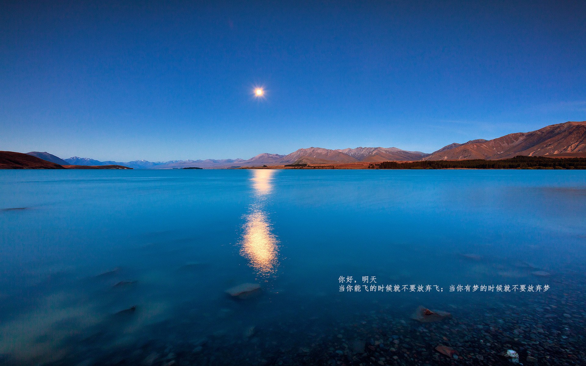 新秀对决:未来之星的比拼一触即发,未来星秀是什么意思