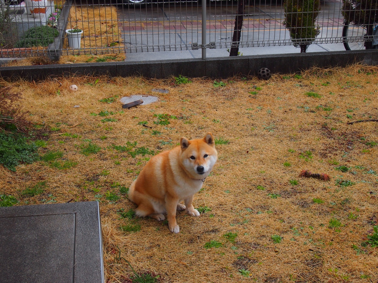 星空攀岩挑战赛,攀上星辰的速度与勇气,青少年攀岩星星速度赛道