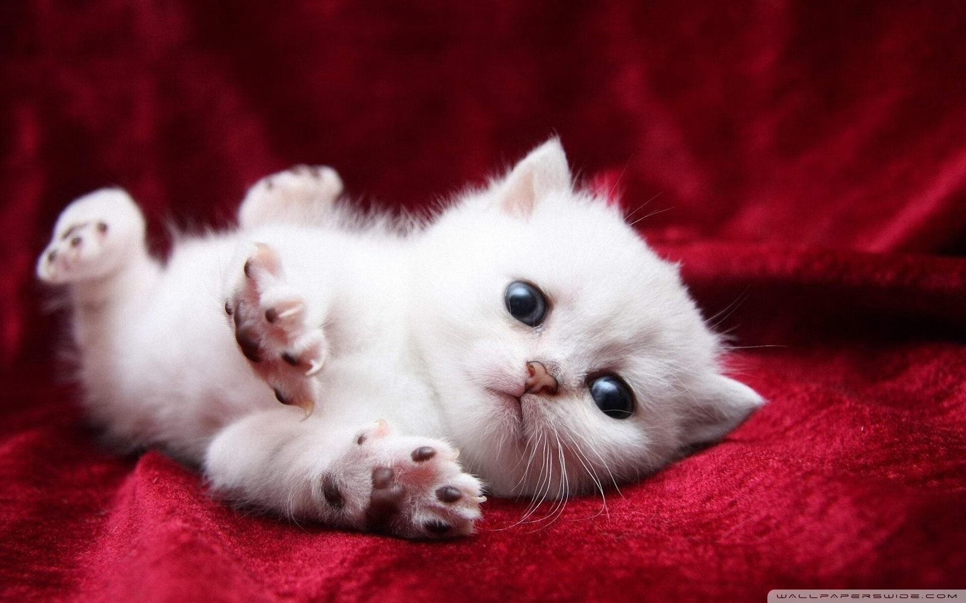 爱游戏登录入口-特色足球主题文化街区在全国多个省市落地，助推城市品牌建设，足球特色学校宣传片