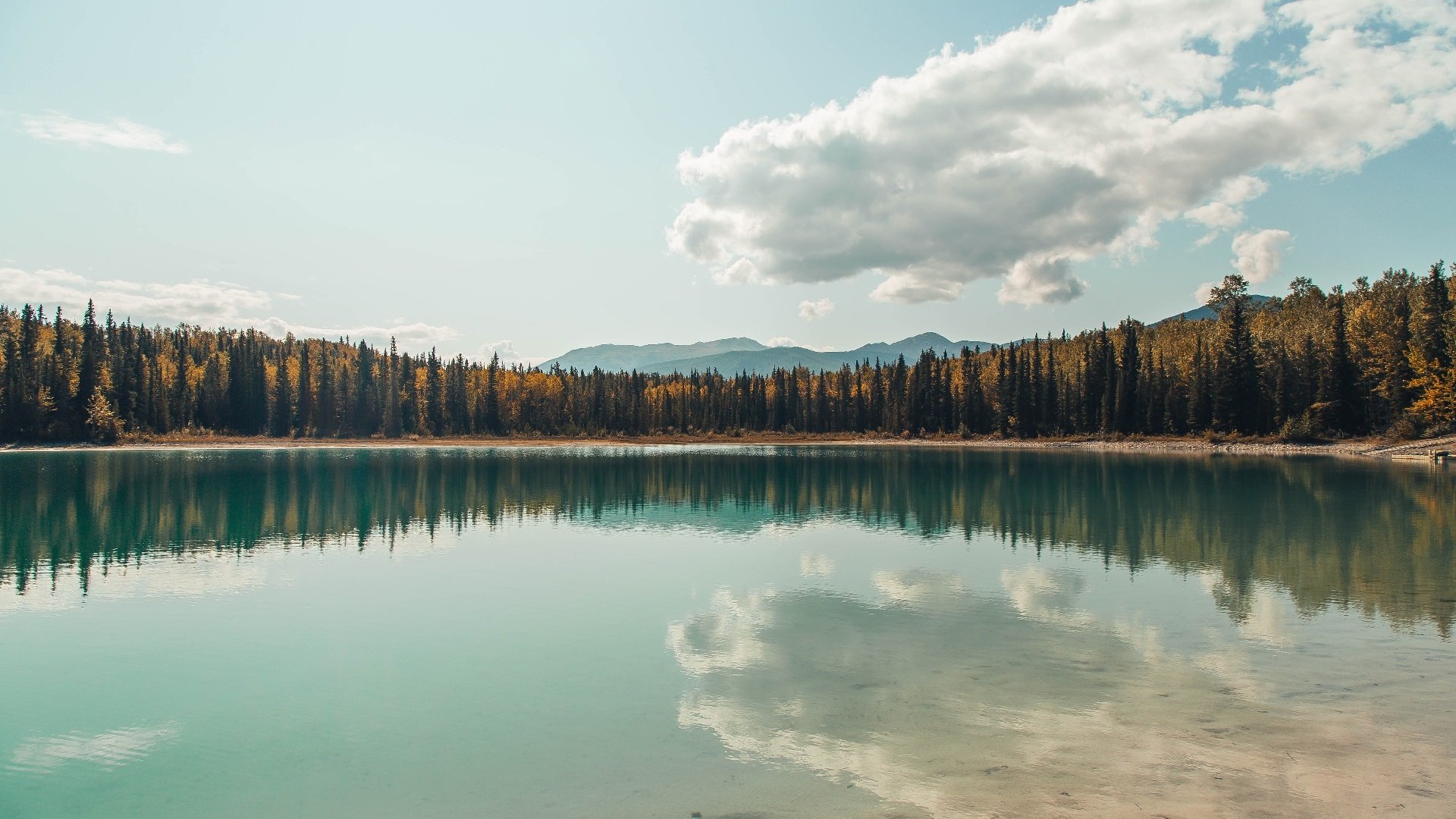 特色足球主题文化街区在全国多个省市落地,助推城市品牌建设,足球特色学校宣传片