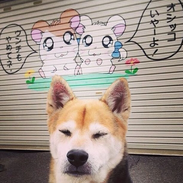 NBA联盟数字内容版权管理与全球传播战略,nba联盟全称