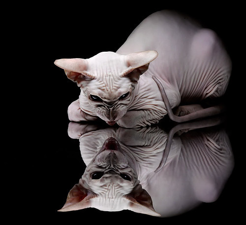 NBA赛季抢断王数据分析,nba本赛季抢断王