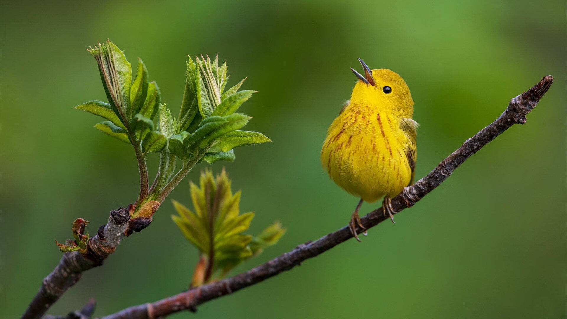 体育场馆绿色改造项目规划，体育场馆配套设施规划