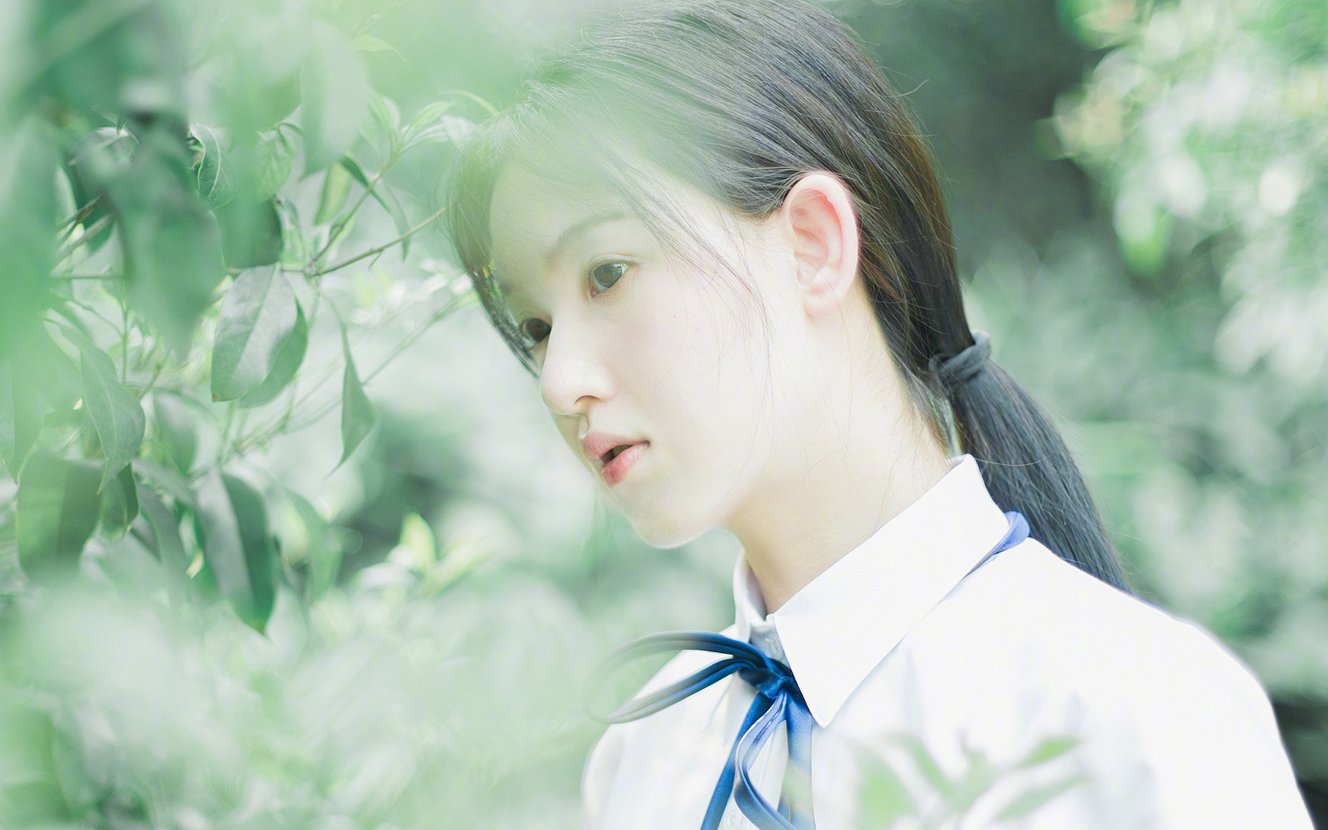 英格兰骑手大卫·詹金斯在巴黎奥运会盛装舞步比赛中获得第十三名，创造个人最佳成绩。