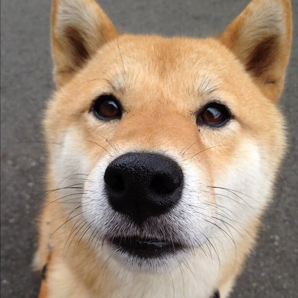 英超逆转神奇，精彩球员表现令人振奋，英超转会纪录