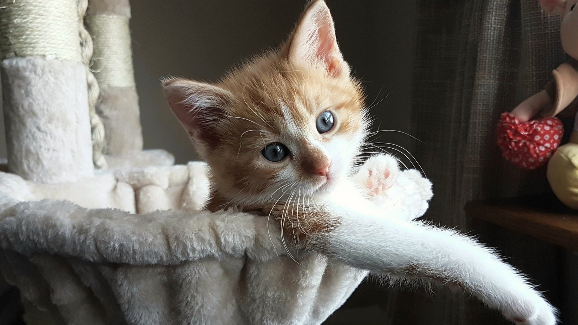 爱游戏体育app-乌克兰对阵北马其顿，决战欧锦赛资格，2021乌克兰对战北马其顿