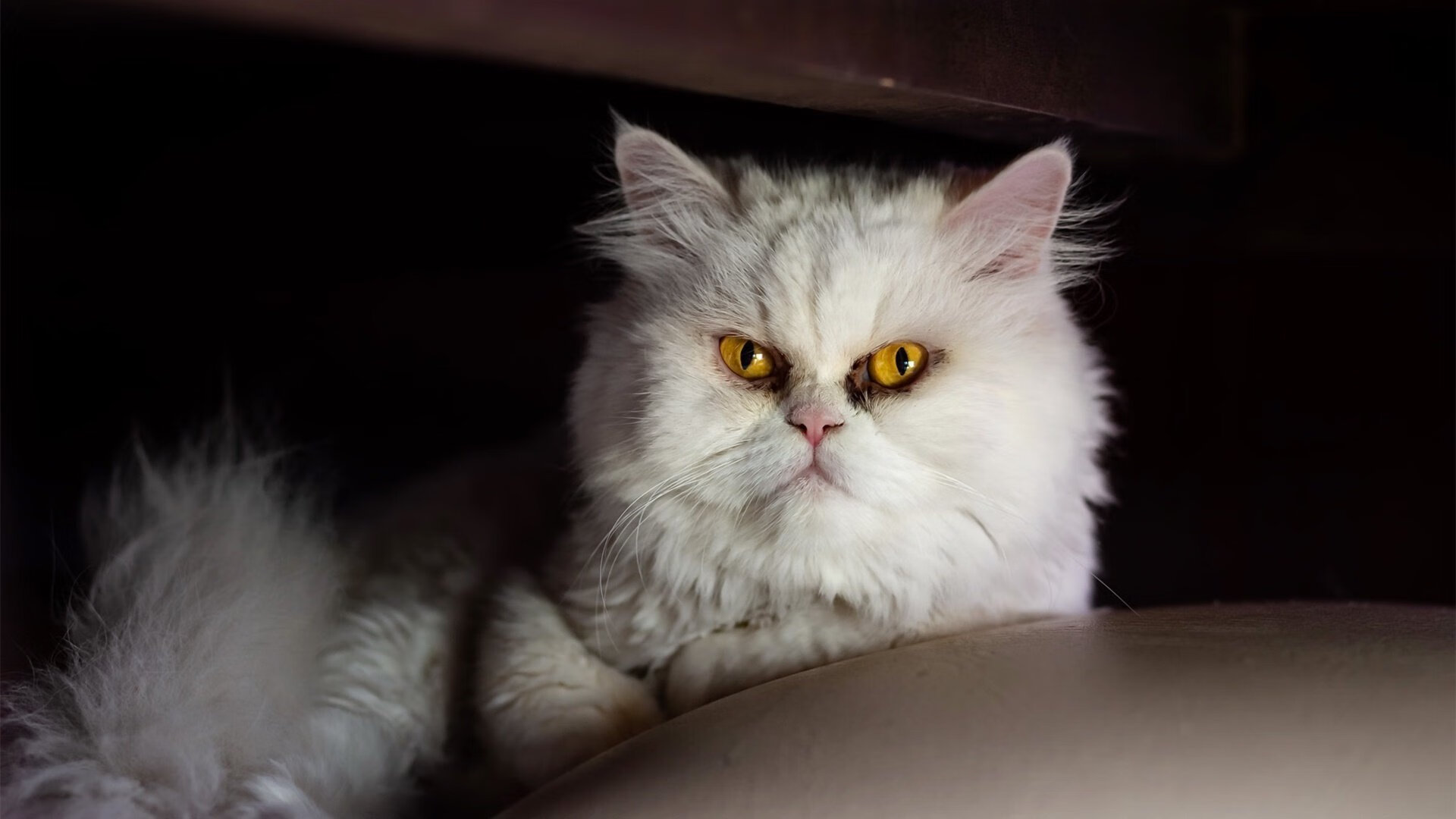 切尔西取得伯恩茅斯胜利,豪取三分,切尔西对伯恩利