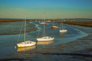 爱游戏官方网站-兴隆湖上演“国际艇战”，多国精英争锋