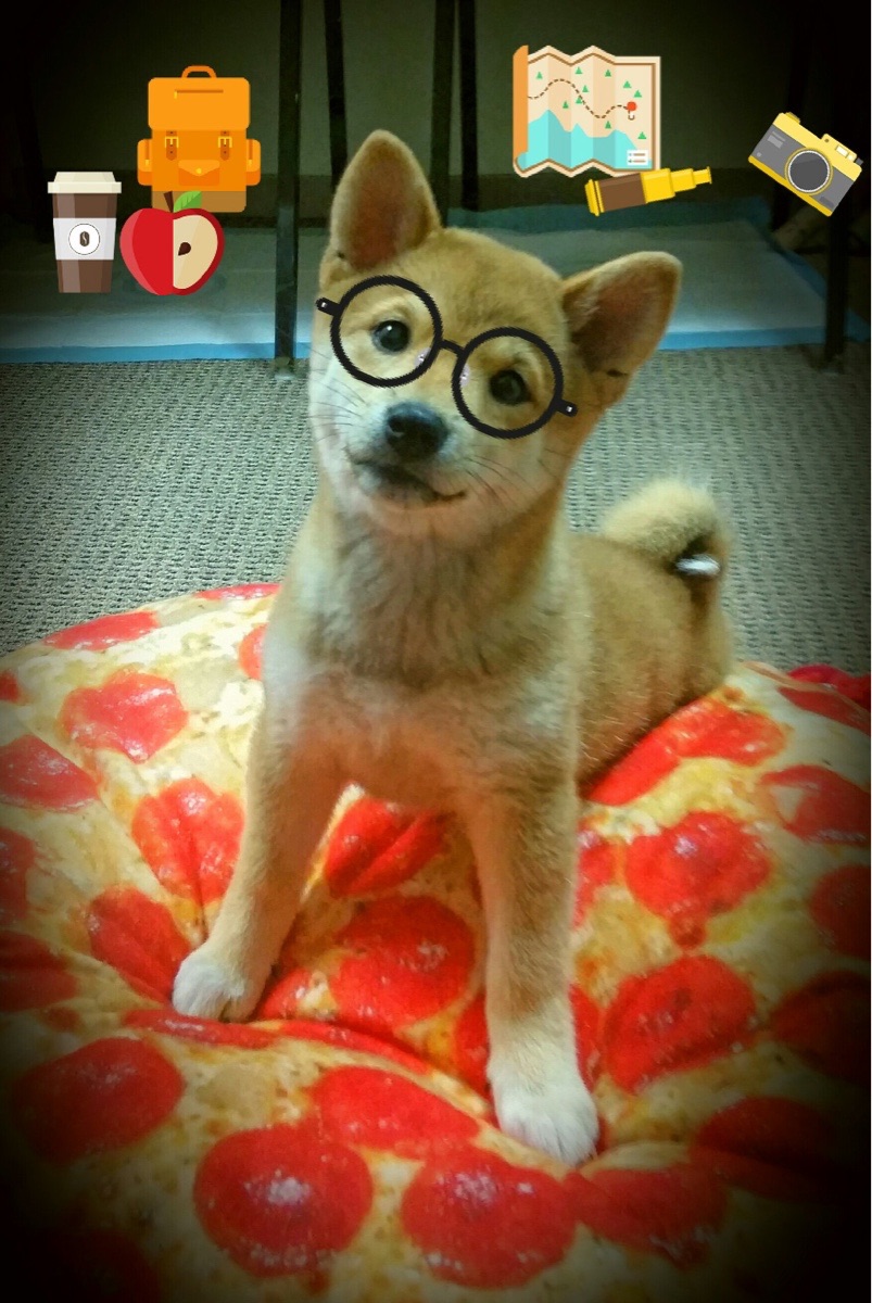 爱游戏app-比赛节奏混乱是否应由控卫主导纠正，在比赛中如果选手的基本节奏错误则该选手判为