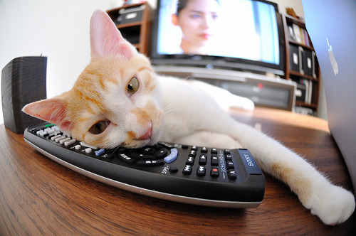 AYX体育官网-塞维利亚客场-小胜莱加内斯，埃涅斯托制胜球，塞维利亚队