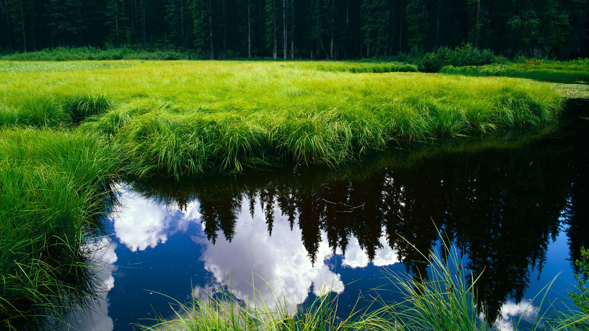 多特蒙德豪取三分，继续追赶积分榜前列，多特蒙德今年实力