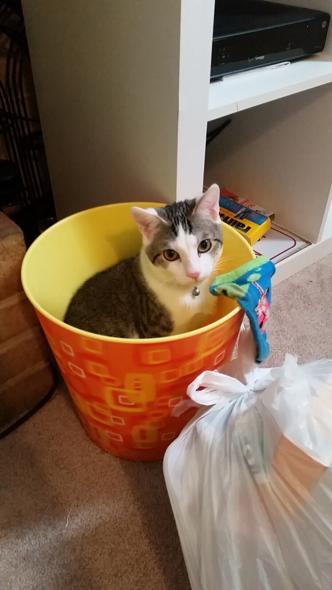 AYX体育官网-那不勒斯中路突破精准切入得分区域，那不勒斯阵型图