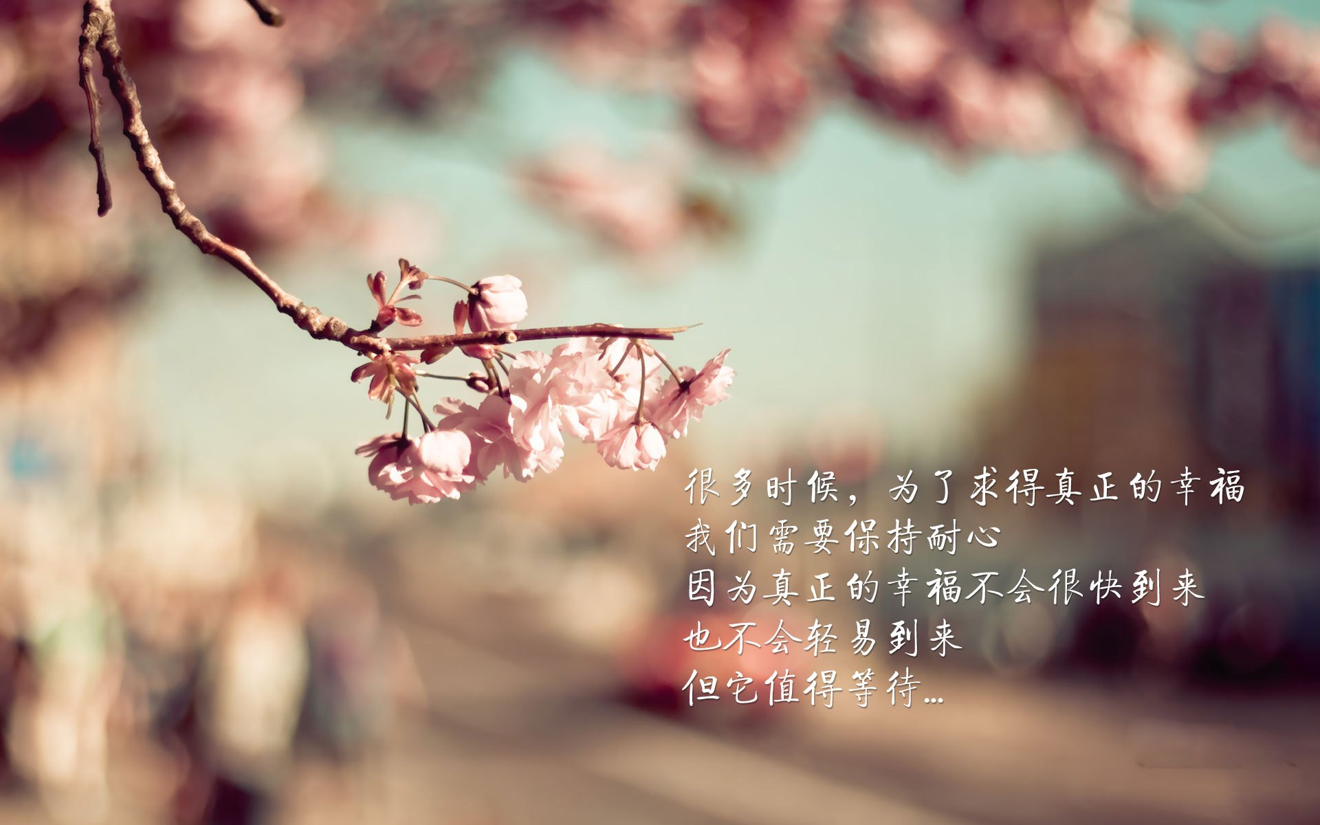 威尔士队员力拼实现突围,迎战挑战,威尔士队员名单