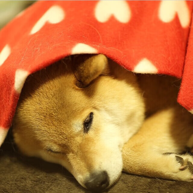 极限攀岩国家队选拔赛名单正式公布,攀岩极限挑战电影