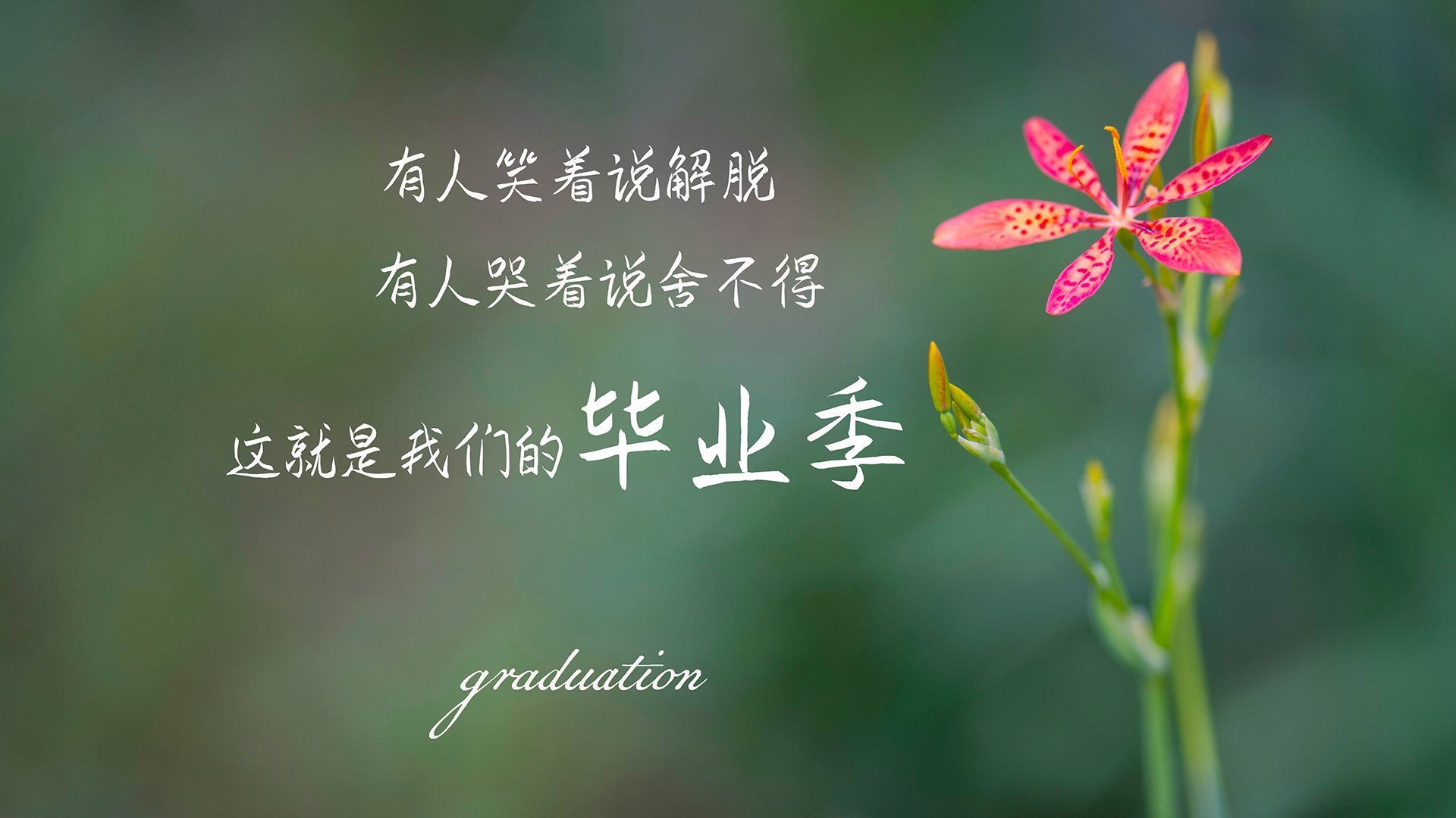 爱游戏娱乐-湖人客场奔赴密集行程主力轮换调整，湖人客场配色