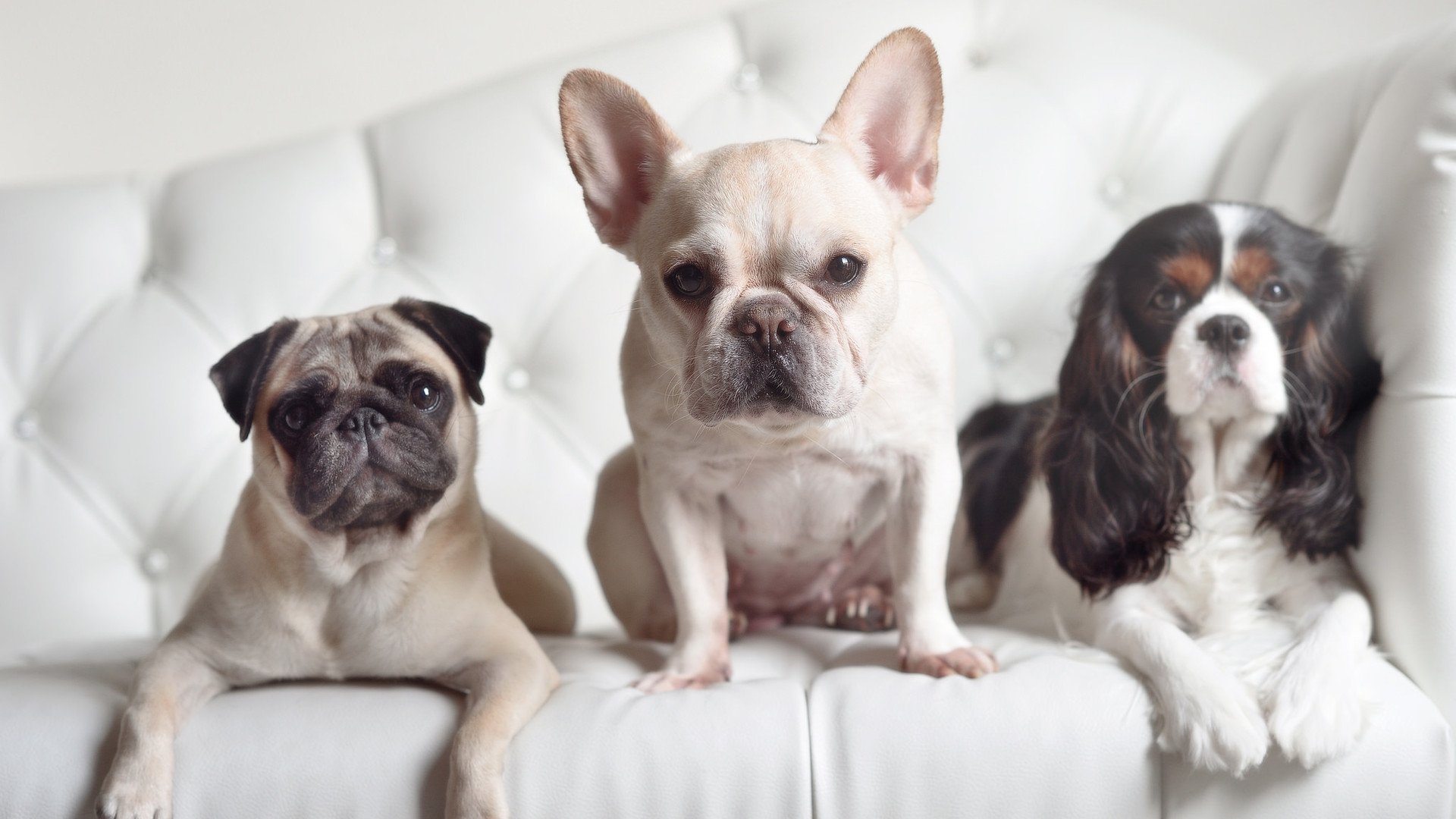 篮球运动员训练负荷智能调控研究,篮球项目负荷特征分析