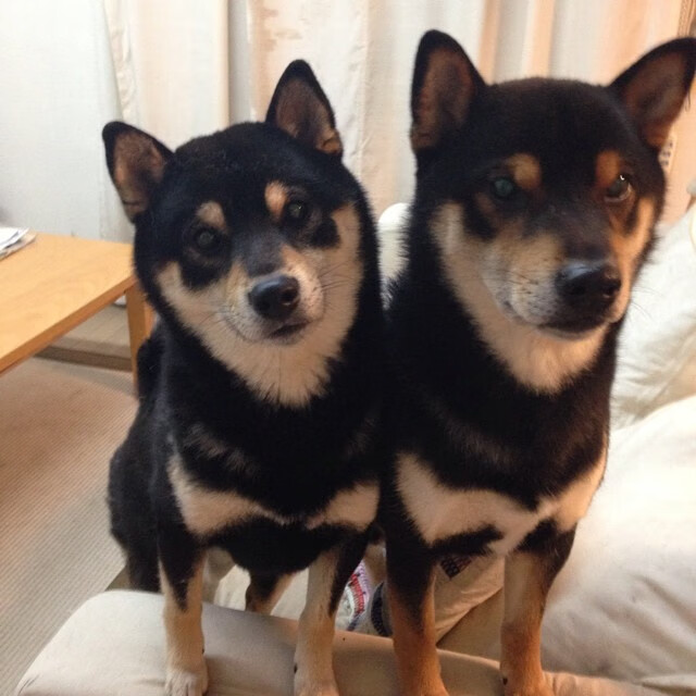 英超冠军争夺:场场精彩,悬念重重!,0203英超冠军