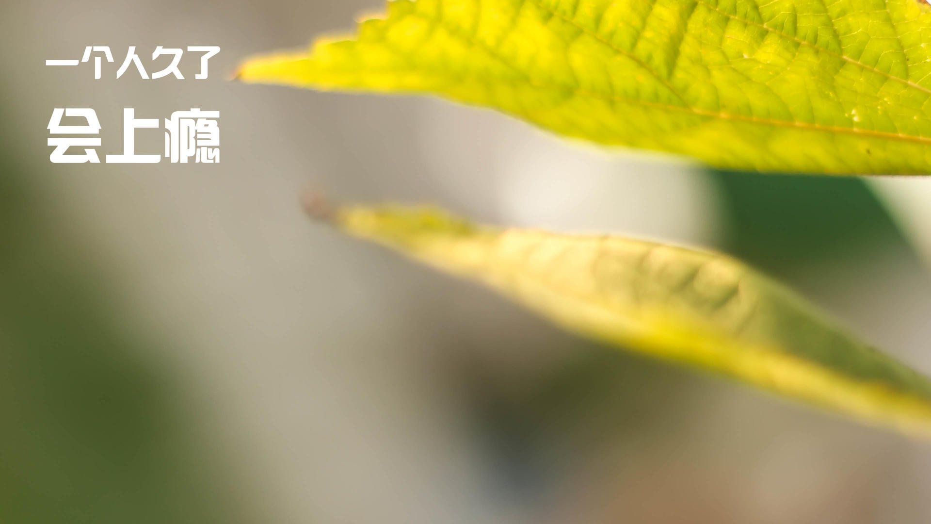 马克·阿特金森：无畏的边锋，用突破创造无限进攻机会，阿特·马里克