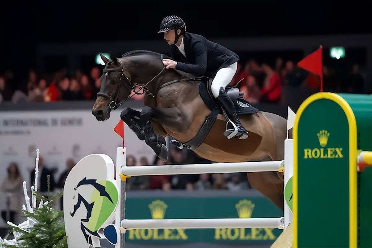 关于爱游戏体育:国际马术赛事的精彩瞬间，骑手与马的默契合作的信息